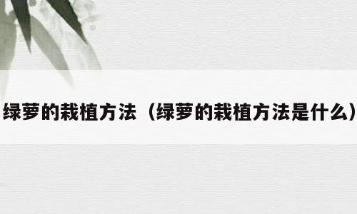 绿萝的栽植方法（绿萝的栽植方法是什么）