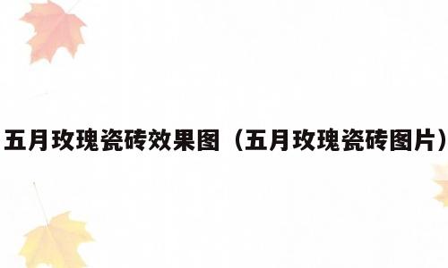 五月玫瑰瓷砖效果图（五月玫瑰瓷砖图片）