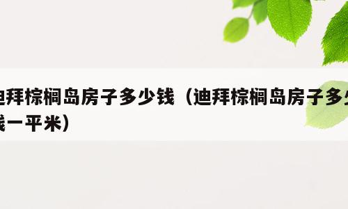 迪拜棕榈岛房子多少钱（迪拜棕榈岛房子多少钱一平米）