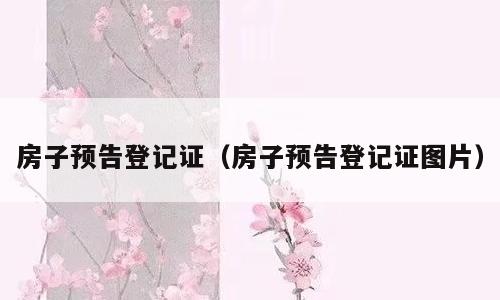房子预告登记证（房子预告登记证图片）