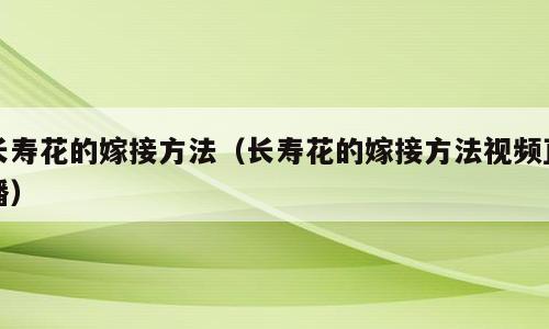 长寿花的嫁接方法（长寿花的嫁接方法视频直播）