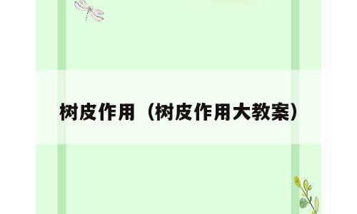 树皮作用（树皮作用大教案）