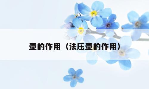壶的作用（法压壶的作用）