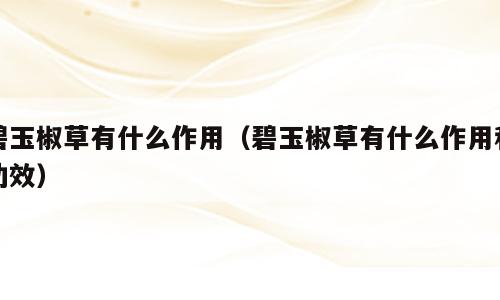 碧玉椒草有什么作用（碧玉椒草有什么作用和功效）