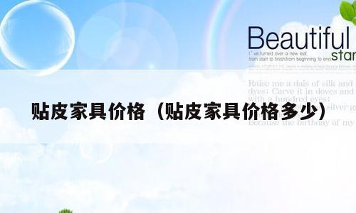 贴皮家具价格（贴皮家具价格多少）