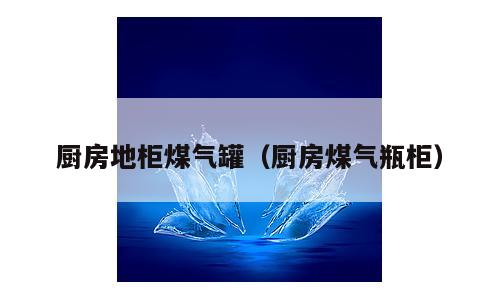 厨房地柜煤气罐（厨房煤气瓶柜）