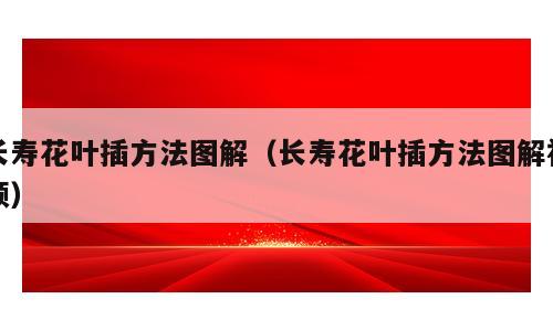 长寿花叶插方法图解（长寿花叶插方法图解视频）