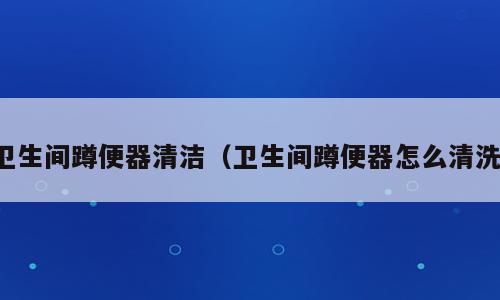 卫生间蹲便器清洁（卫生间蹲便器怎么清洗）
