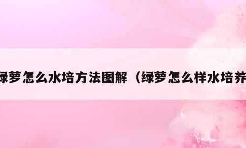 绿萝怎么水培方法图解（绿萝怎么样水培养）