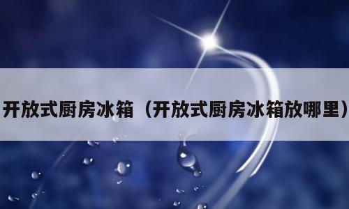开放式厨房冰箱（开放式厨房冰箱放哪里）