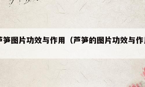 芦笋图片功效与作用（芦笋的图片功效与作用）