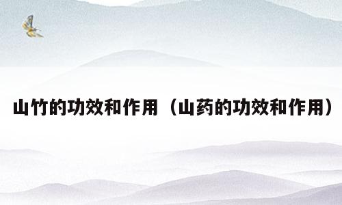 山竹的功效和作用（山药的功效和作用）