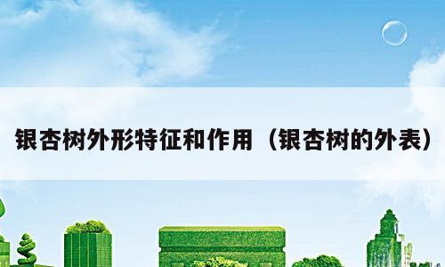 银杏树外形特征和作用（银杏树的外表）