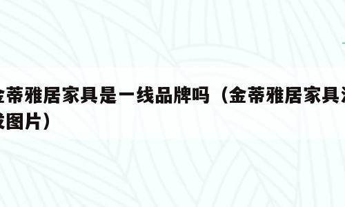 金蒂雅居家具是一线品牌吗（金蒂雅居家具沙发图片）