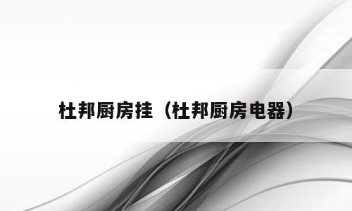 杜邦厨房挂（杜邦厨房电器）