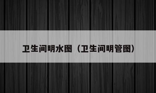 卫生间明水图（卫生间明管图）