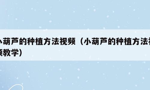 小葫芦的种植方法视频（小葫芦的种植方法视频教学）