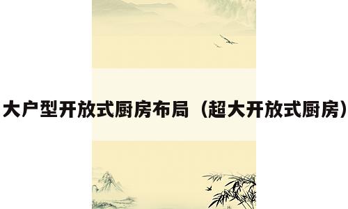大户型开放式厨房布局（超大开放式厨房）