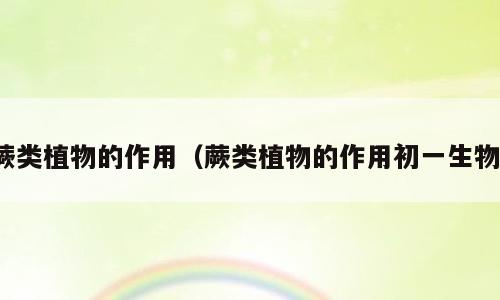 蕨类植物的作用（蕨类植物的作用初一生物）