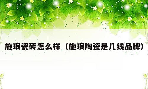 施琅瓷砖怎么样（施琅陶瓷是几线品牌）