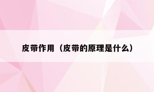 皮带作用（皮带的原理是什么）