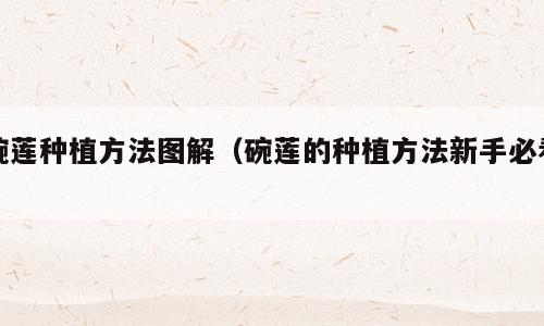 碗莲种植方法图解（碗莲的种植方法新手必看）