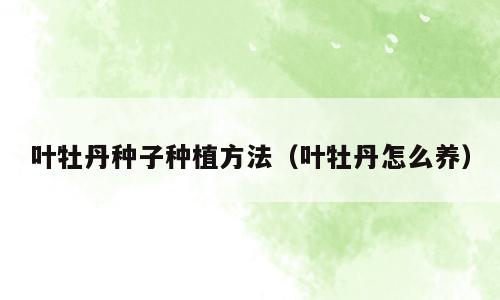 叶牡丹种子种植方法（叶牡丹怎么养）