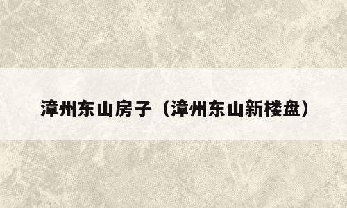 漳州东山房子（漳州东山新楼盘）