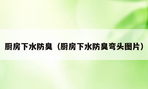 厨房下水防臭（厨房下水防臭弯头图片）
