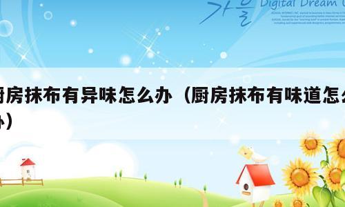 厨房抹布有异味怎么办（厨房抹布有味道怎么办）