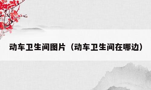 动车卫生间图片（动车卫生间在哪边）