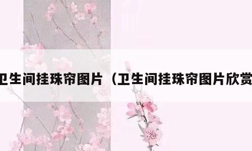 卫生间挂珠帘图片（卫生间挂珠帘图片欣赏）