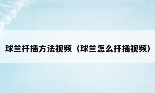 球兰扦插方法视频（球兰怎么扦插视频）