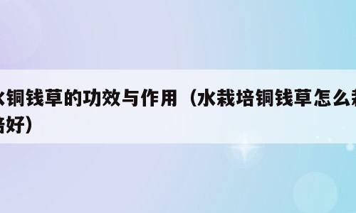 水铜钱草的功效与作用（水栽培铜钱草怎么栽培好）
