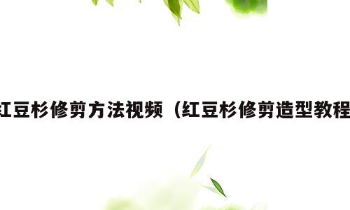 红豆杉修剪方法视频（红豆杉修剪造型教程）