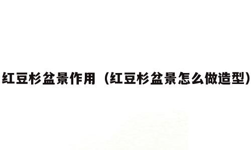 红豆杉盆景作用（红豆杉盆景怎么做造型）