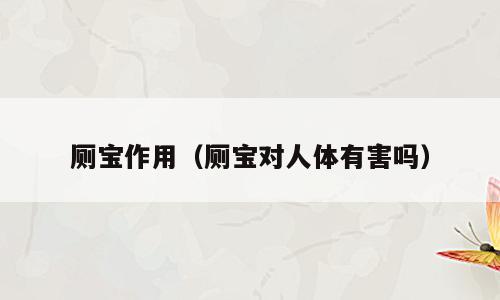 厕宝作用（厕宝对人体有害吗）