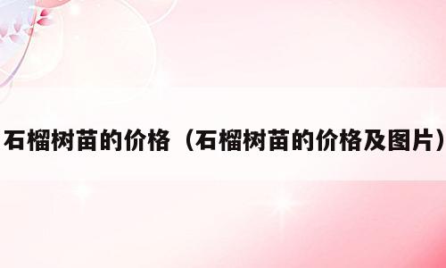 石榴树苗的价格（石榴树苗的价格及图片）