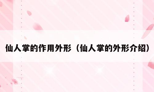 仙人掌的作用外形（仙人掌的外形介绍）