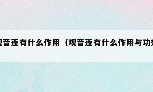 观音莲有什么作用（观音莲有什么作用与功效）