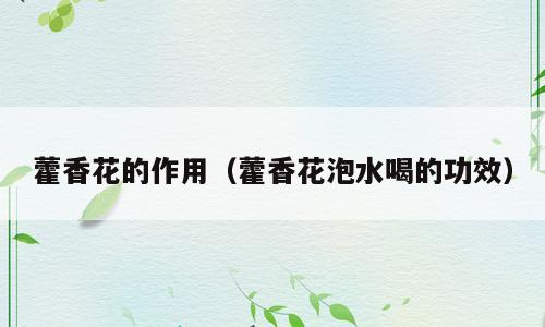 藿香花的作用（藿香花泡水喝的功效）