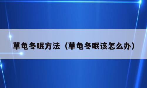 草龟冬眠方法（草龟冬眠该怎么办）