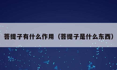 菩提子有什么作用（菩提子是什么东西）