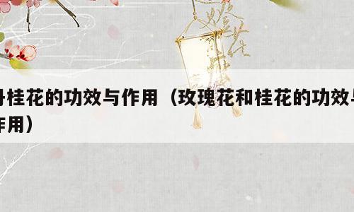 丹桂花的功效与作用（玫瑰花和桂花的功效与作用）