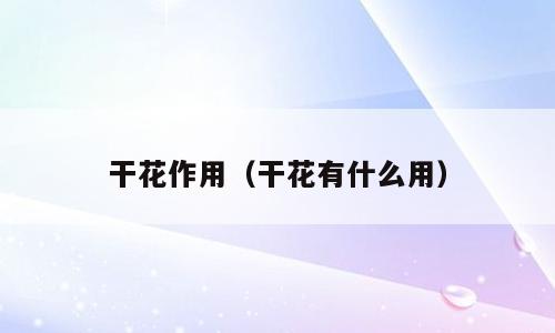 干花作用（干花有什么用）