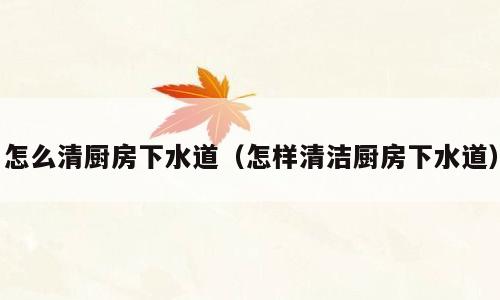 怎么清厨房下水道（怎样清洁厨房下水道）