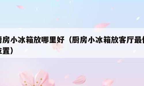 厨房小冰箱放哪里好（厨房小冰箱放客厅最佳位置）