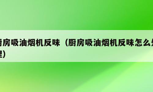 厨房吸油烟机反味（厨房吸油烟机反味怎么处理）