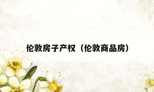 伦敦房子产权（伦敦商品房）