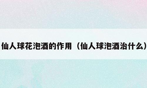 仙人球花泡酒的作用（仙人球泡酒治什么）